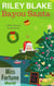 Bayou Santa - Miss Fortune World: Bayou Cozy Romantic Thrills, #21