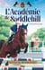 L'Académie de Saddlehill - Tome 02 : Confrontation
