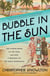 Bubble in the Sun - The Florida Boom of the 1920s and How It Brought on the Great Depression