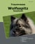 Traumrasse Wolfsspitz - Keeshond