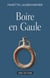 Boire en Gaule