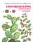 Rouge Cochenille. Histoire d'un insecte qui colora le monde XVIe-XXIe siècle