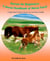Horses for Beginners: A Horse Handbook of Horse Facts - A Quick Start Guide to Horse Care and Horse Health