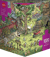 Puzzle 1500 pièces - Garden Adventure's