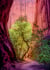 Puzzle 1000 pièces - Singin Canyon