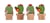 Lot de 4 confettis en bois adhésifs - Cactus - Rayher