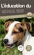 L'éducation du Jack Russell Terrier : toutes les astuces pour un Jack Russell Terrier bien éduqué