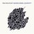 Pale Blue Dot - CD