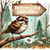 Sparrow's Big Adventure - The Magic Little Chest of Tales