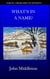 What's in a Name? - Tokyo, From One to Infinity, #3