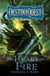 The Heart of Fire - DestinyQuest Book 2