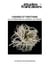 Études françaises. Volume 42, numéro 2, 2006 - Figures et frictions. La littérature au contact du visuel