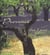 Provence des 5 sens