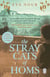 The Stray Cats of Homs - A powerful, moving novel inspired by a true story