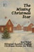 The Missing Christmas Star And Other Bilingual Swedish-English Christmas Stories for Kids