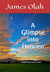 A Glimpse into Heaven - Christian Faith Series, #5