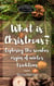 What is Christmas? Exploring the Secular Origins of Winter Traditions