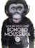 Bonobo Moussaka