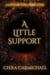 A Little Support : A Sands of Time Short Story - Sands of Time Short Stories, #1