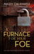 A Furnace for Your Foe - The Ann Kinnear Suspense Novels, #4