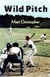 Wild Pitch