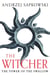 The Tower of the Swallow - Witcher 4 – Now a major Netflix show
