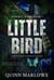 Little Bird: An MFM, Stepdad, Lumberjack Romance - Hawke's Wood, #1