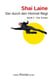 Der durch den Himmel fliegt - Band 2 Der Schatz