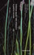 Correo del otro mundo (y algunas lecturas más) - Hoja por Hoja, 2001-2008