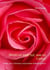 Wenn es weh tut, war es Liebe! - Liebe, Sex, Schmerz und andere Katastrophen