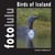 Birds of Iceland - fotolulu's Bildband 4
