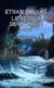 Ethan Dullac - Tome 2 - Le retour de la magie