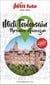 Guide Midi Toulousain 2022/2023 Petit Futé: Pyrénées - Gascogne