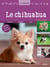 Le chihuahua