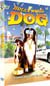 Hollywood Dog