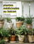 Plantes médicinales au balcon - Faites pousser vos remèdes du quotidien