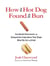 How the Hot Dog Found Its Bun - Accidental Discoveries and Unexpected Inspirations That Shape What We Eat and Drink