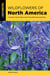 Wildflowers of North America - A Coast-to-Coast Guide to More than 500 Flowering Plants
