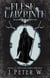 The Flesh Labyrinth - The Lost Ones Trilogy, #3