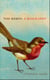 The Robin - The perfect gift for bird lovers