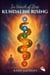 In Search Of Zero : Kundalini Rising - In search of Zero, #6
