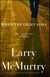 When the Light Goes - A Novel