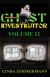 Ghost Investigator Volume 12