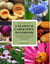 A Seasonal Gardener's Handbook - Simple Gardening