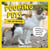 Pooping Pets: The Cat Edition - Hilarious Snaps of Kitties Taking a Dump