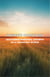 Infinite Horizons : Mastering Personal Growth in a Changing World