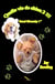 Quelle vie de chien 2 - Gucci Givenchy 1er