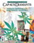 Cap-aux-Diamants. No. 137, Printemps 2019 - Paradis artificiels et substances « illicites »