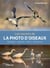 Les secrets de la photo d'oiseaux - Repérages – Approche – Affûts – Prise de vue