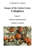Images of the Lichen Genus Caloplaca, Vol 1 - Caloplaca adelphoparasitica, Caloplaca crenularia
